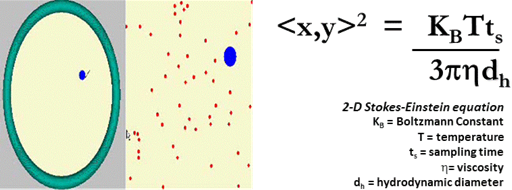 图1 （左）纳米颗粒受到溶液分子撞击做无规则的布朗运动（右）斯托克斯-爱因斯坦方程